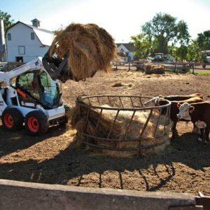 S590 Skid-Steer Loader